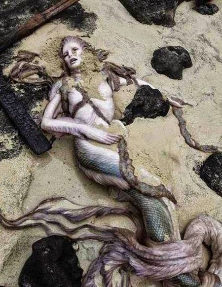 O sirena adevarata a fost descoperita moarta pe plaja! Vezi cum arata creatura