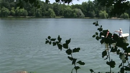 Fenomen socant pe lacul Herastrau, in Capitala. Ce au vazut bucurestenii in ultimele zile
