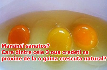  Mananci sanatos? Care dintre cele 3 oua credeti ca provine de la o gaina crescuta natural?