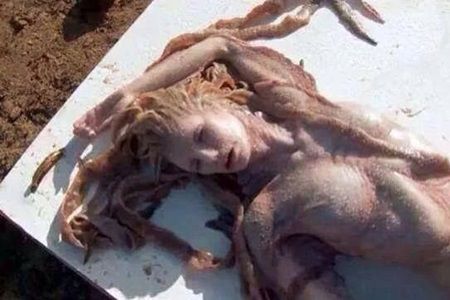O sirena adevarata a fost descoperita moarta pe plaja! Vezi cum arata creatura