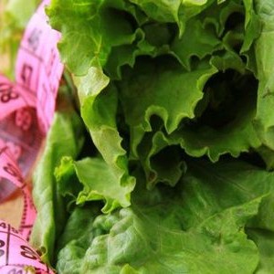 Salata verde, ingredientul vedeta in dietele de primavara
